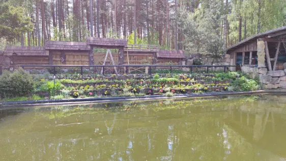 Kolotilovka