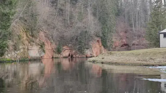 Braslas taka