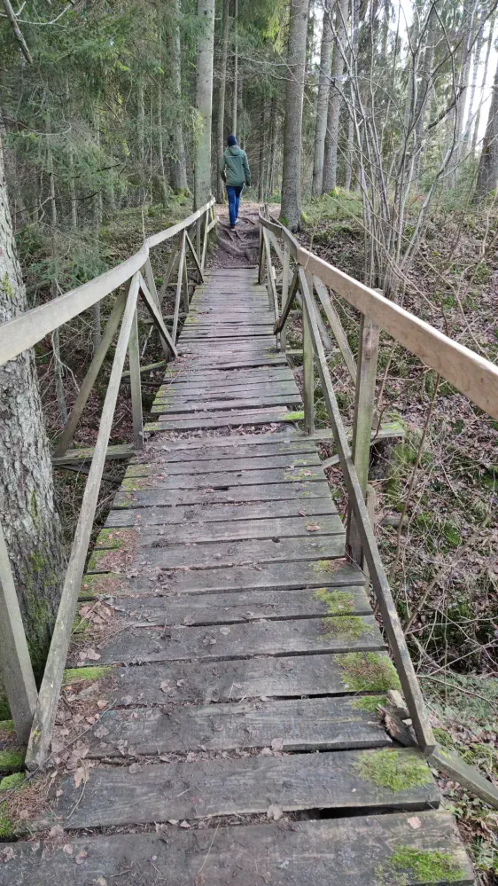 Viesatas upesloku taka