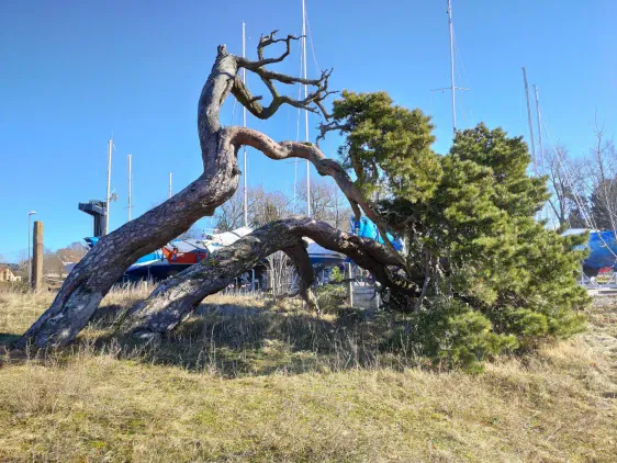 Pāvilosta