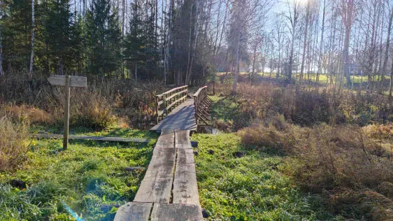 Lustiņdruvas dabas taka