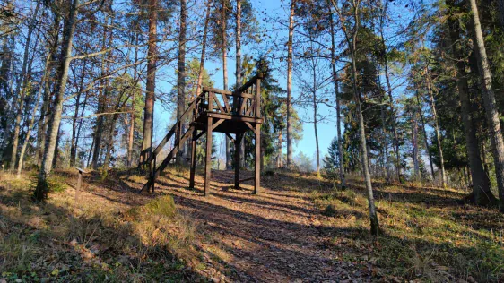Lustiņdruvas dabas taka