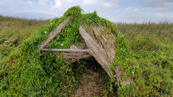 Randu pļavas