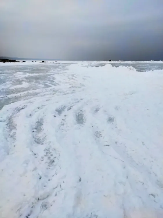 Mērsraga piekraste