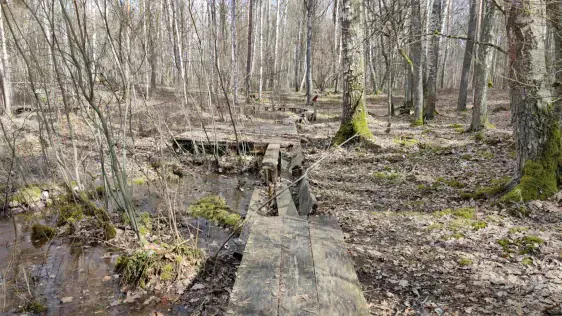 Tērvetes māla krauja