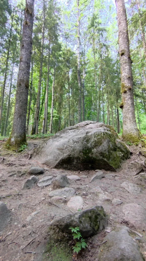 Pokaiņi