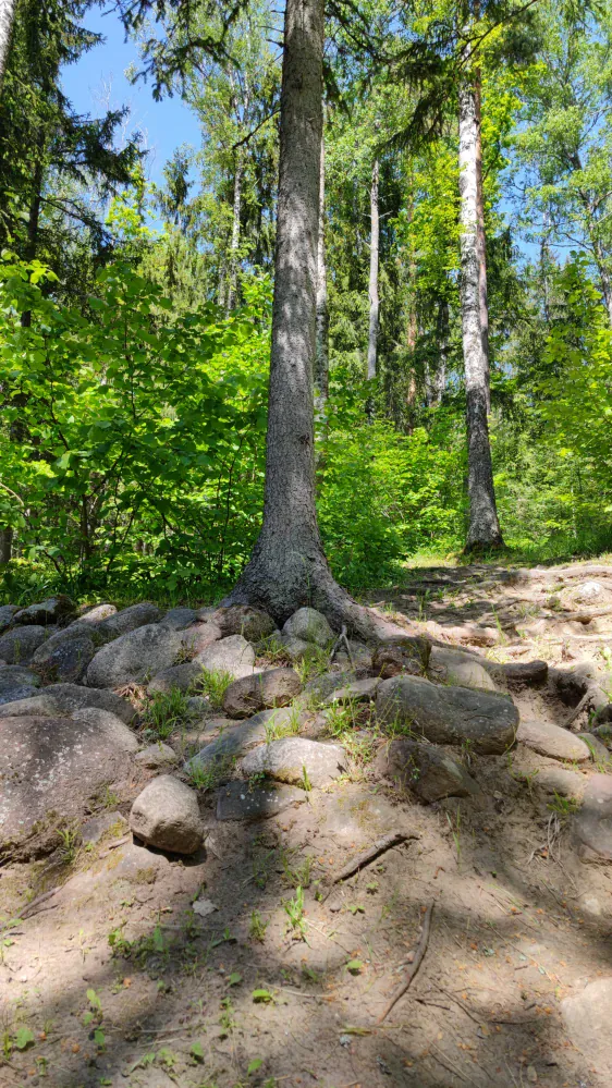 Pokaiņi