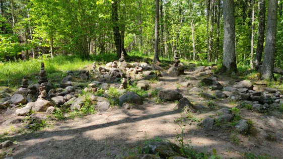 Pokaiņi