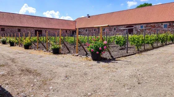 Nurmuiža